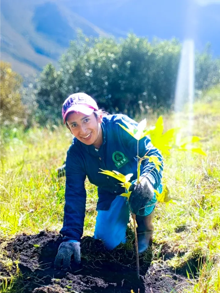 Siembra de árboles nativos por HSE Colombia, empresa ambiental