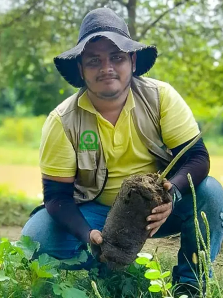 Técnico de HSE con plántula para reforestación