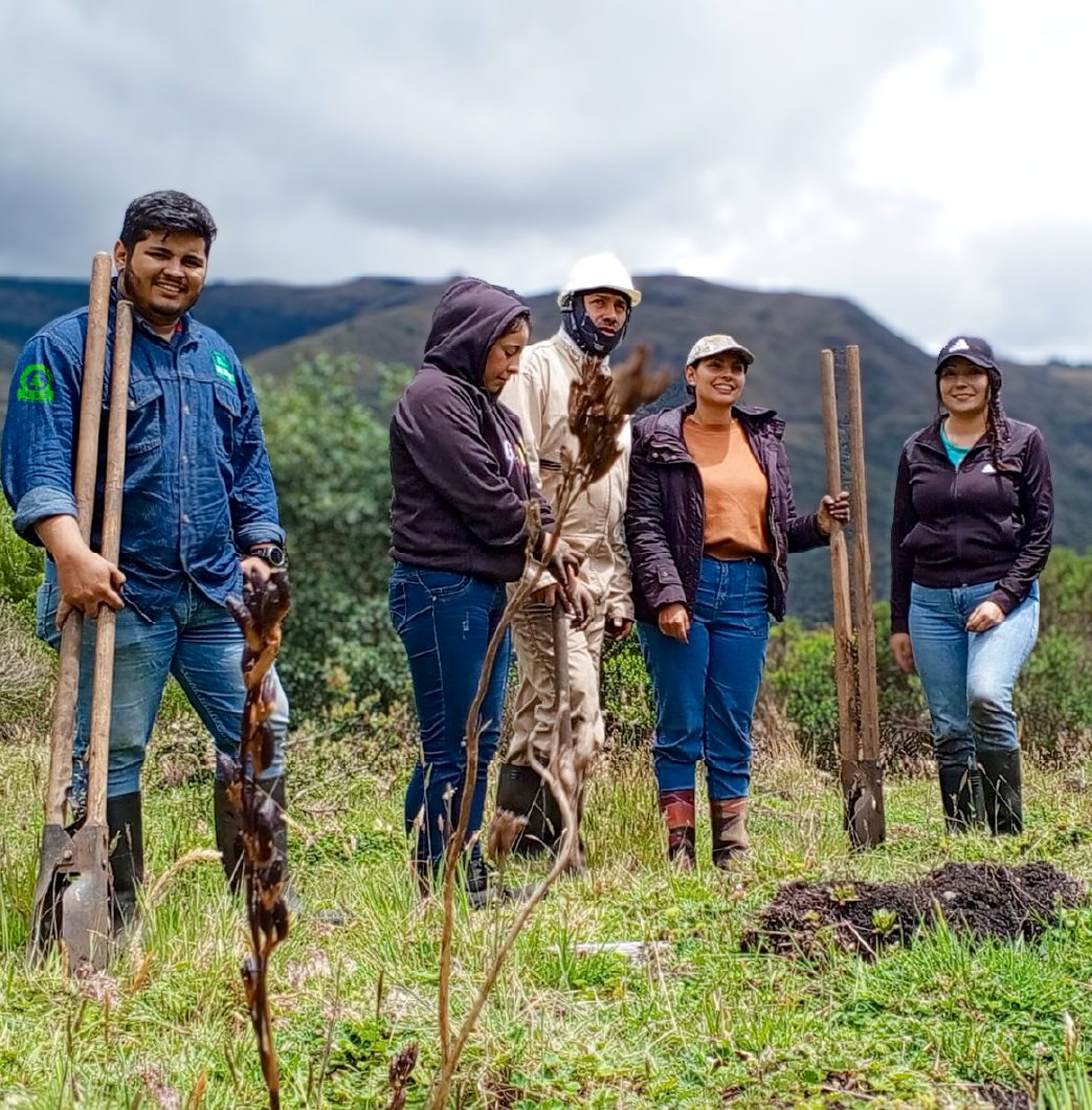 Equipo de HSE Colombia sembrando en el páramo