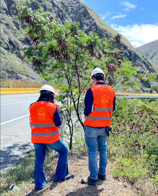 Equipo de HSE en seguimiento de árboles a borde de vía