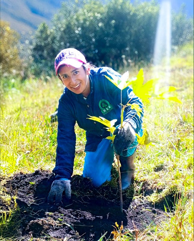 Operaria de HSE sembrando un árbol nativo