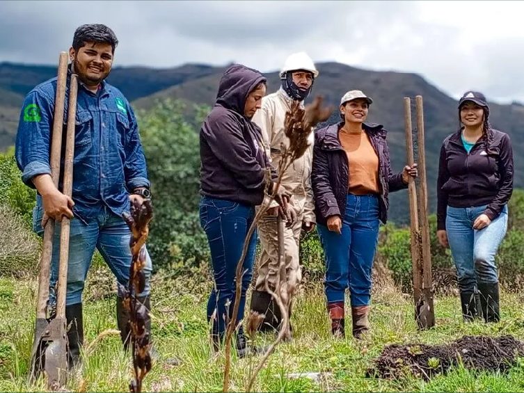 Equipo de HSE sembrando árboles nativos en campo