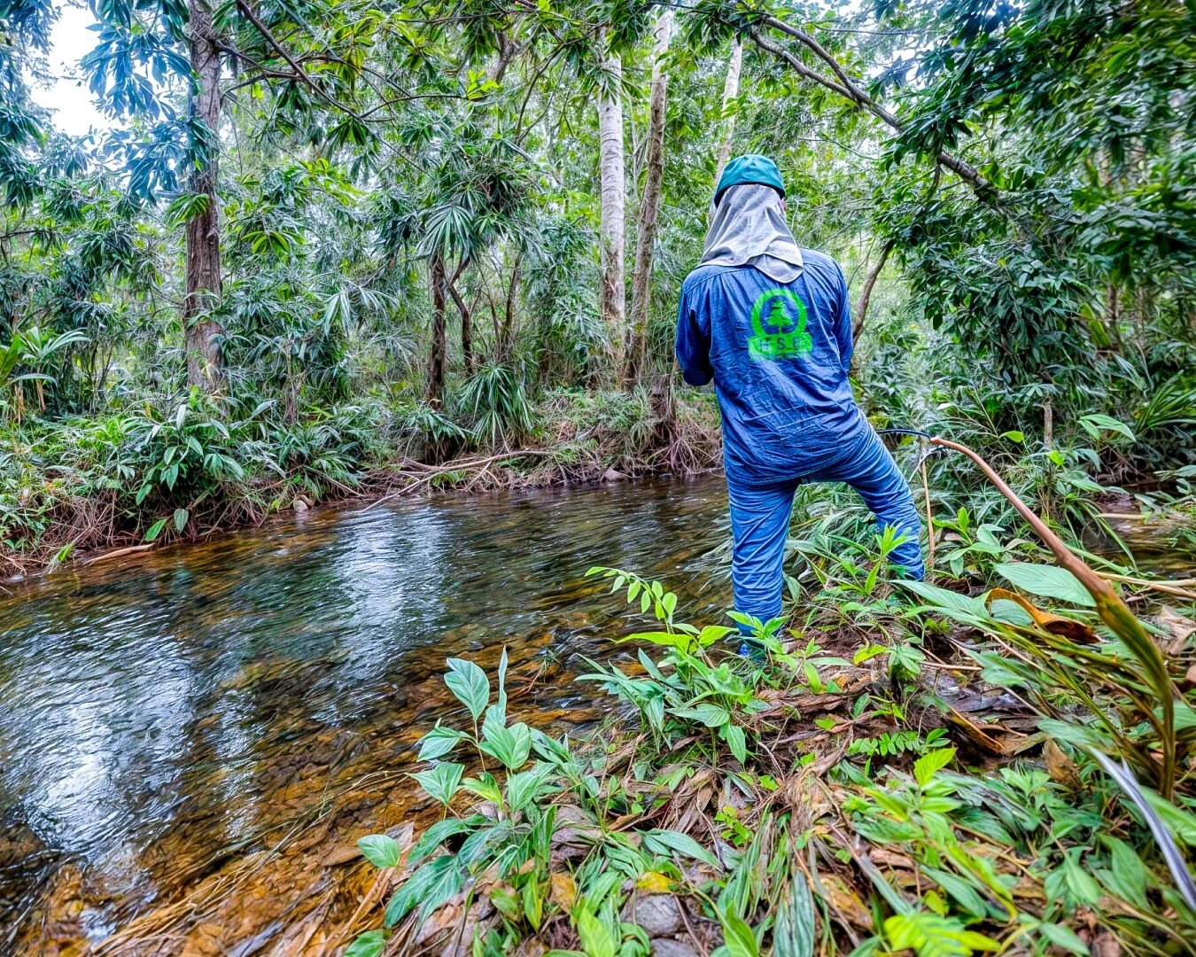 Monitoreo de cuenca hídrica por HSE Colombia en bosque nativo