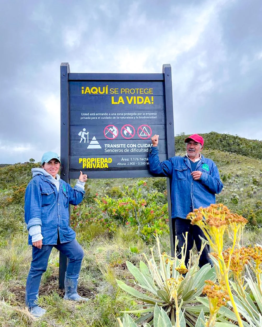 Equipo de HSE Colombia en zona protegida de páramo con frailejones