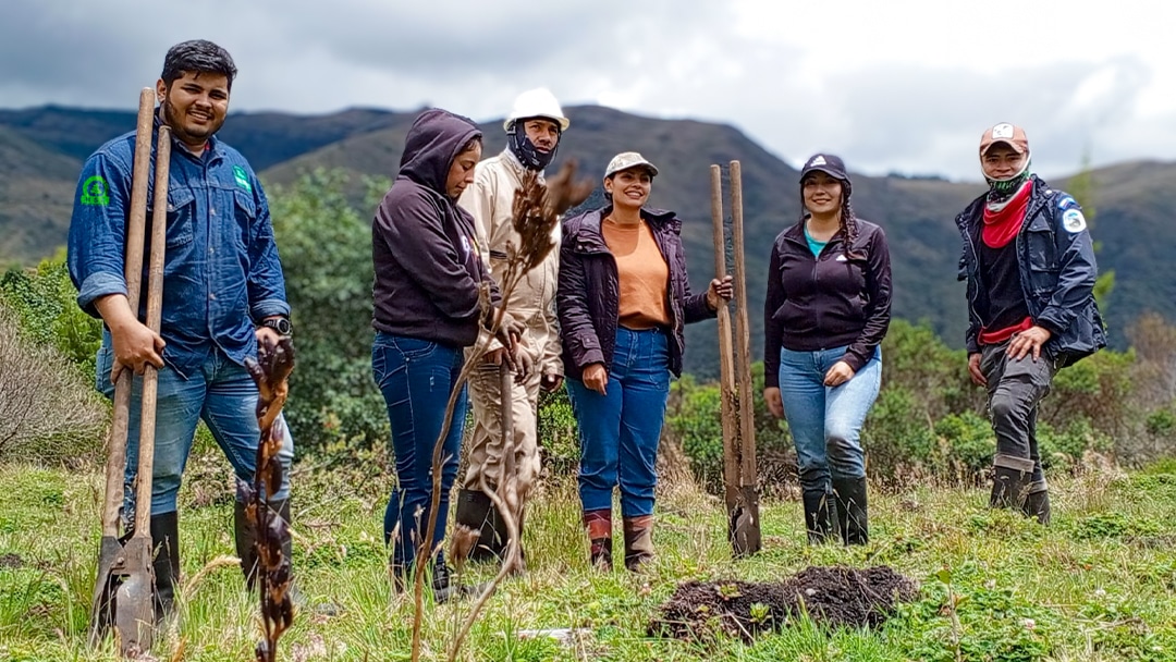 Paramo la rusia reforestación y compensación ambiental